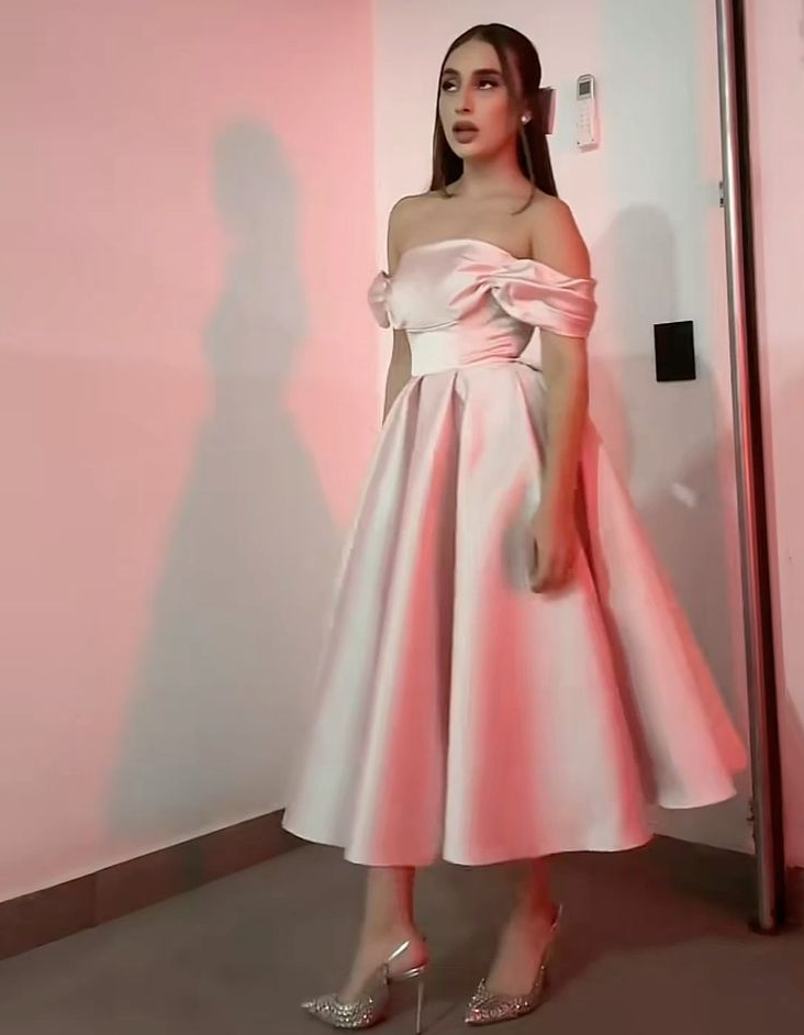 Pretty A-Line Off Shoulder Pink Prom Dresses Formal Evening Dress cg25864