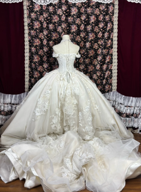 Off The Shoulder Lace Wedding Dress Tulle Formal Wedding Gown cg26246