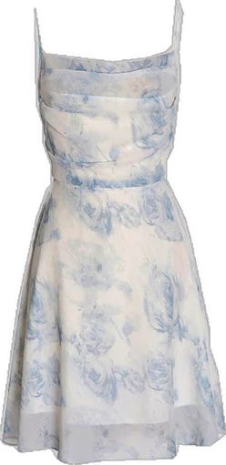 Chiffon Printed Dress Short Prom Dress Party Dress cg26061