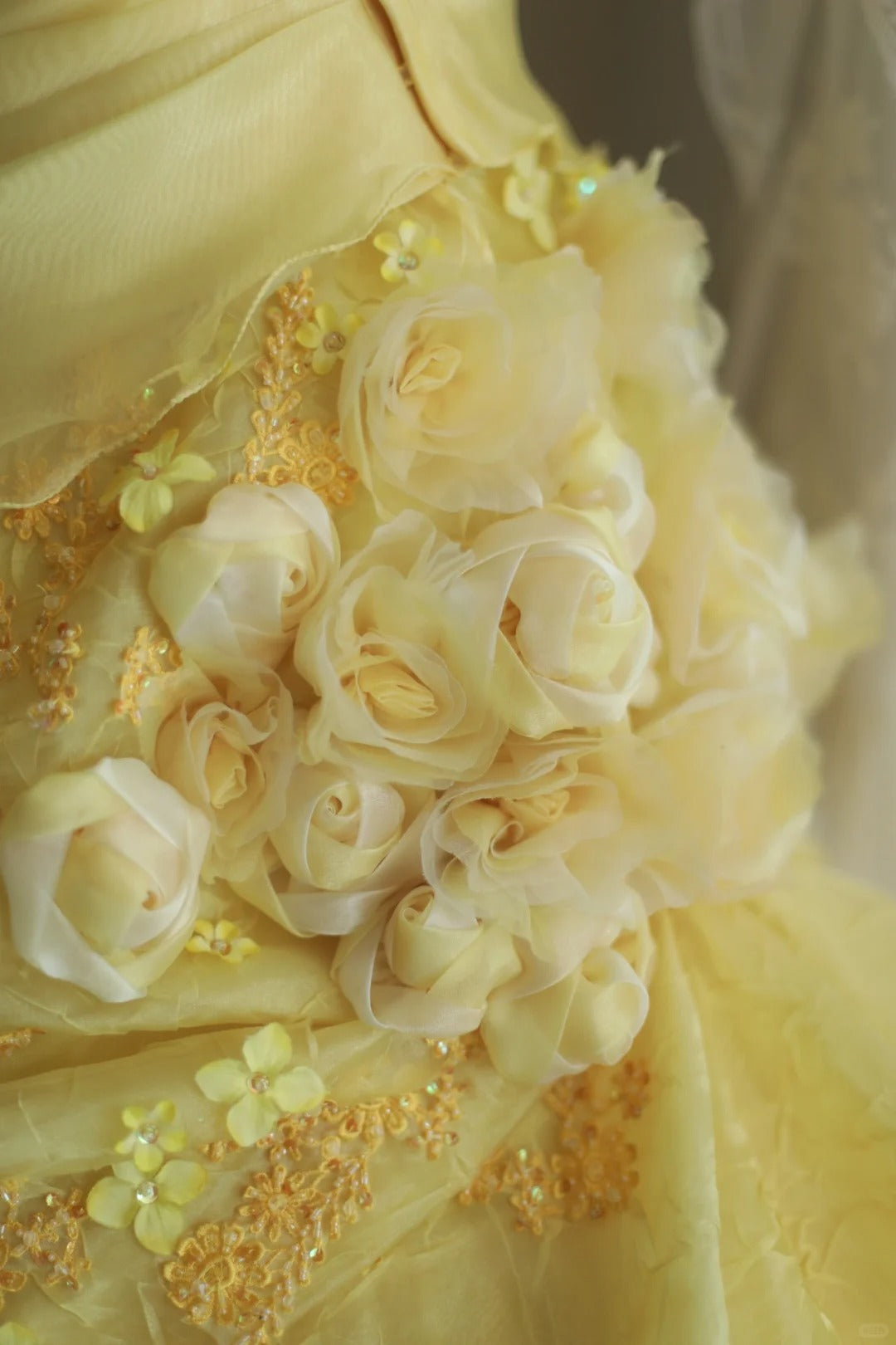 A Line Yellow 3D Flowers Wedding Dress Sleeveless Long Princess Evening Dress cg25936