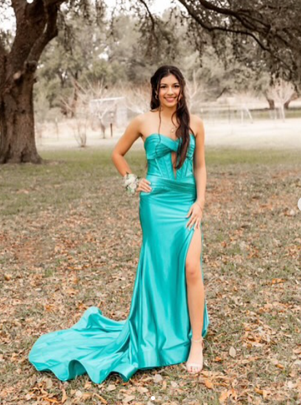 Mermaid Long Evening Dress Long Prom Party Dress cg25636