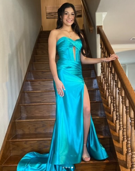 Mermaid Long Evening Dress Long Prom Party Dress cg25636