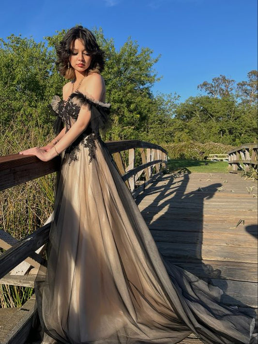 A-Linie Off The Shoulder Fashion Ballkleider, lange Abendkleider cg24999