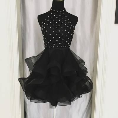 Short Dress, Elegant Tulle Homecoming Dress cg10370