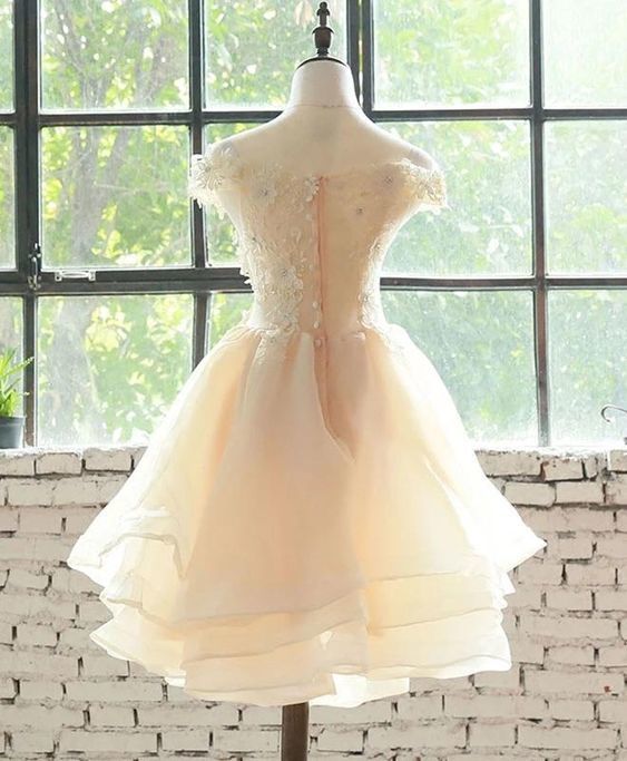 Cute Champagne Layers Short Homecoming Dress cg10405