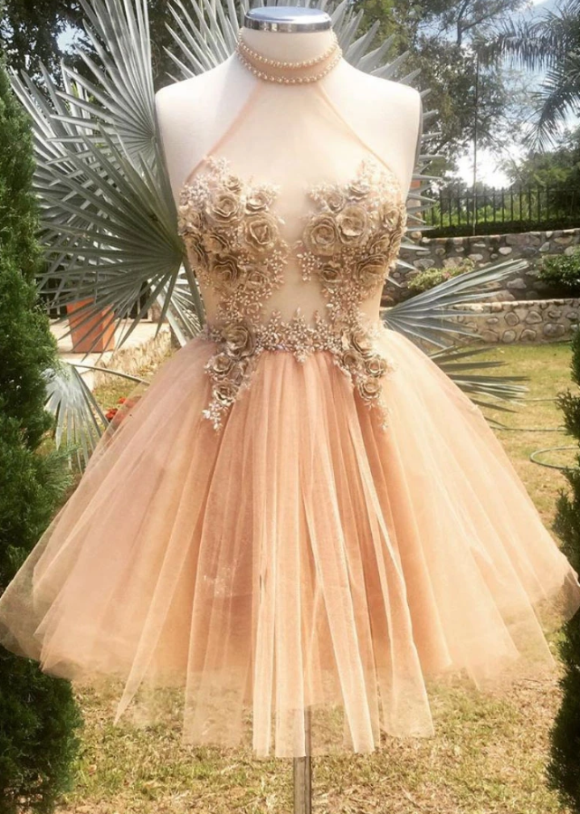 Champagne high neck tulle lace short dress tulle formal dress homecoming dress cg12654