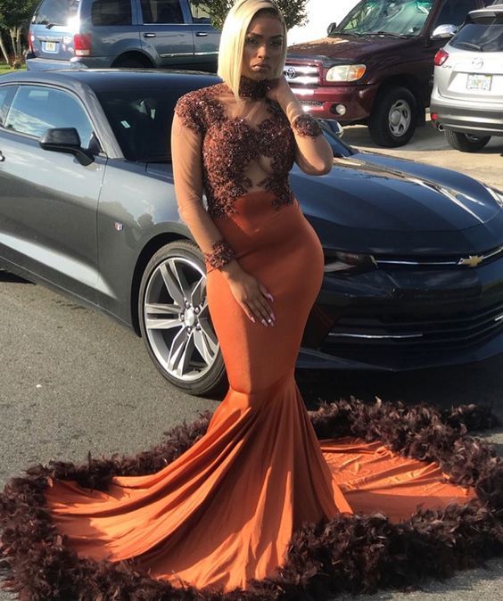 Unique Long Prom Dress With Long Sleeves , Formal Dress With Feather cg13589