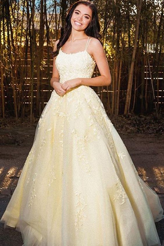 Princess Lace Long Prom Dresses, A-Line Long Lace Formal Evening Dress with Lace Appliques cg13876