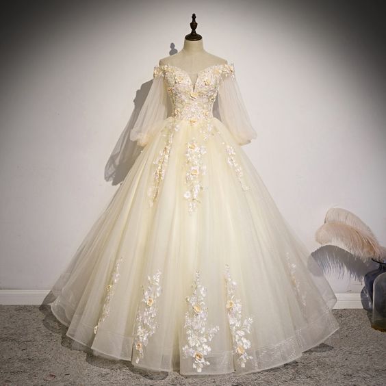ball gown Evening Dress,Long Formal Prom Dress cg16102