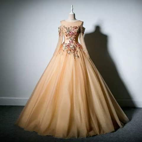 ball gown Long Prom Dress cg18598