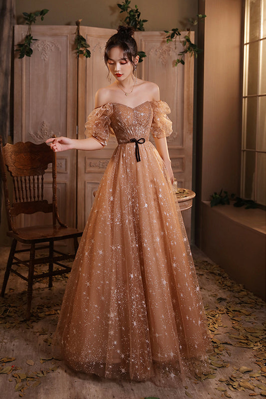 Glänzendes langes Ballkleid mit Pailletten in A-Linie, Abendkleid cg19409