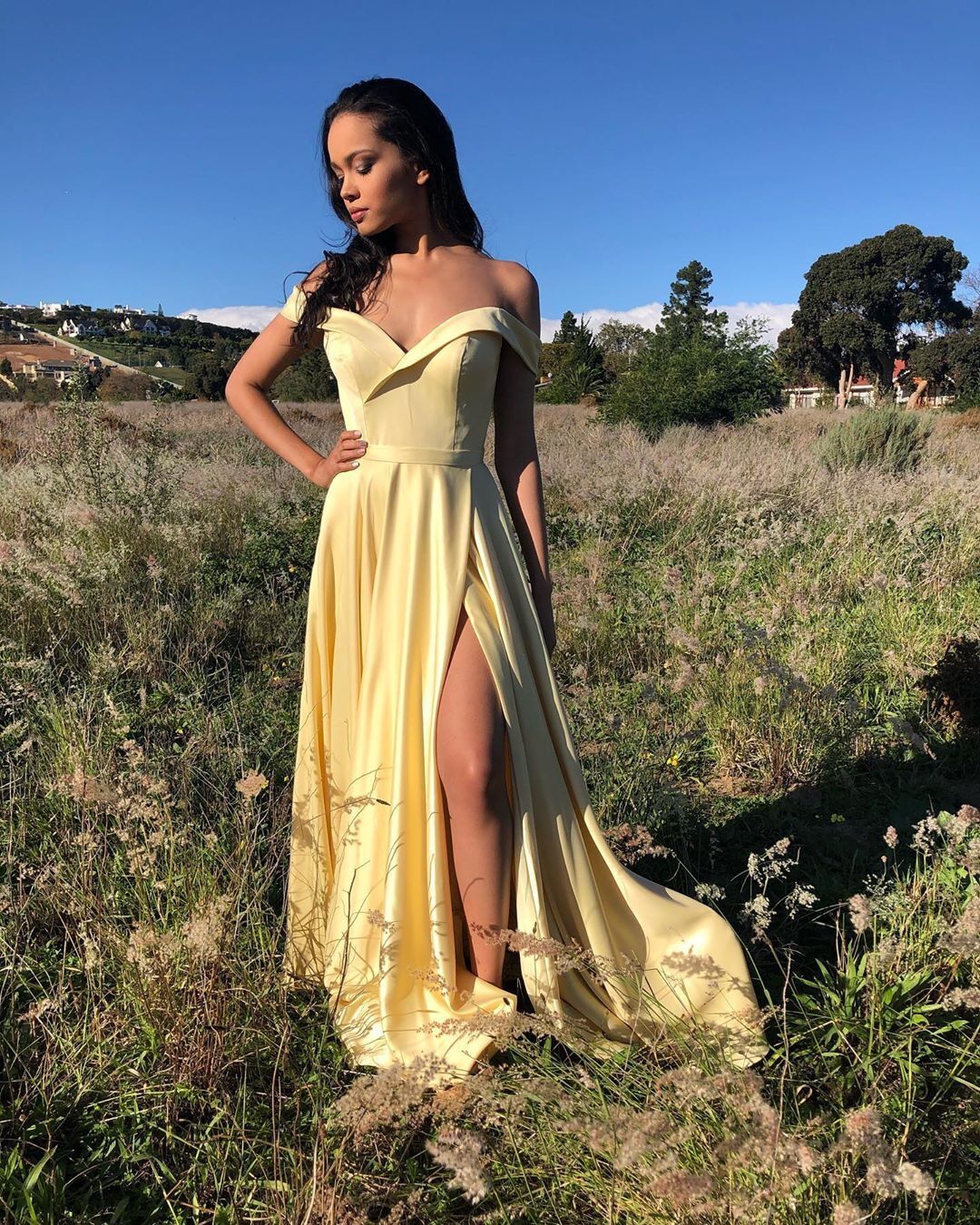 Classic A Line Off the Shoulder Yellow/Purple/Green/Blue Long Prom/Evening Dress cg20946