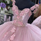 Elegant Prom Dresses Ball Gown Tulle Floor Length Lace Embroidery   cg18123