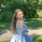 Straps Blue Evening Prom Dresses Homecoming Gowns      cg25604