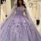 Floral Quinceanera Dresses Off Shoulder Ball Gown Puffy Lace Embroidery Princess Sweet 16 Girls    cg24835