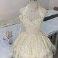 Ivory Tulle Lace Short Party Dress Evening Dress Homecoming Gowns      cg25585