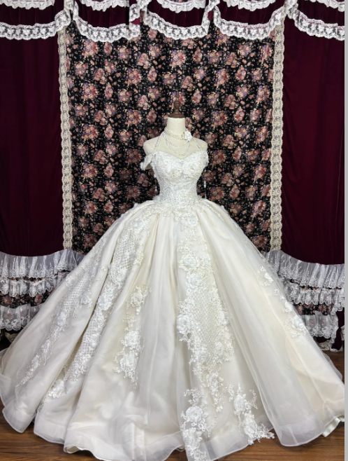 Off The Shoulder Lace Wedding Dress Tulle Formal Wedding Gown  cg26246