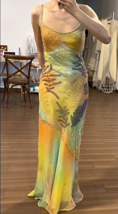 Colorful Vintage Prom Party Dress Beading Evening Dress Birthday Outfit cg26359