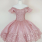 A-Line Short pink /blue Homecoming Dress   cg21638