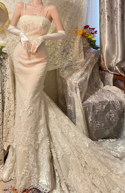 Mermaid Lace Prom Party Dress Elegant Evening Dress cg26320