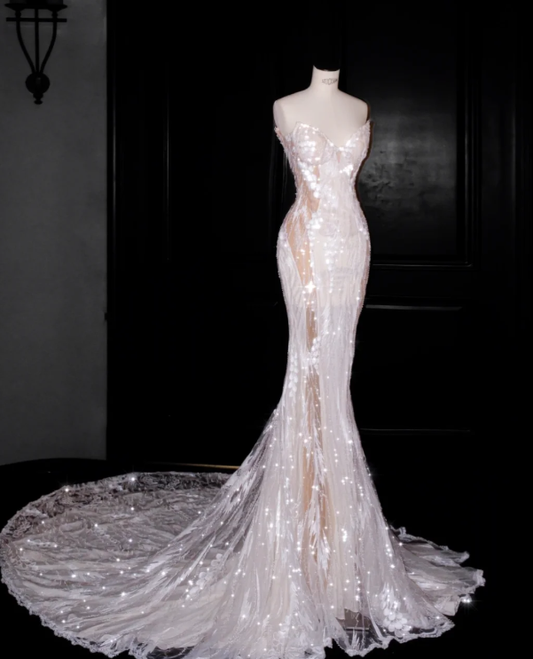 Luxurious Mermaid Prom Party Dress Evening Dress 22nd Birthday Outfit cg26344