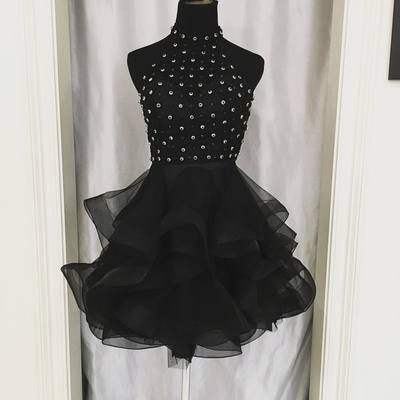 Short Dress, Elegant Tulle Homecoming Dress    cg10370