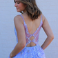 A Line Tulle Lace Long Prom Dresses 2021 , Appliques Elegant Evening Party Girl Dresses   cg18619