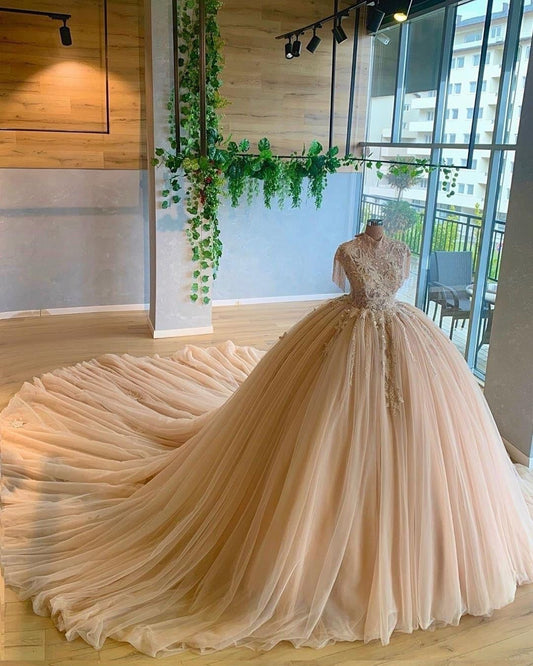 Tulle Long Prom Dresses,A Line Elegant Dresses,ball gown Prom Dresses   cg19888