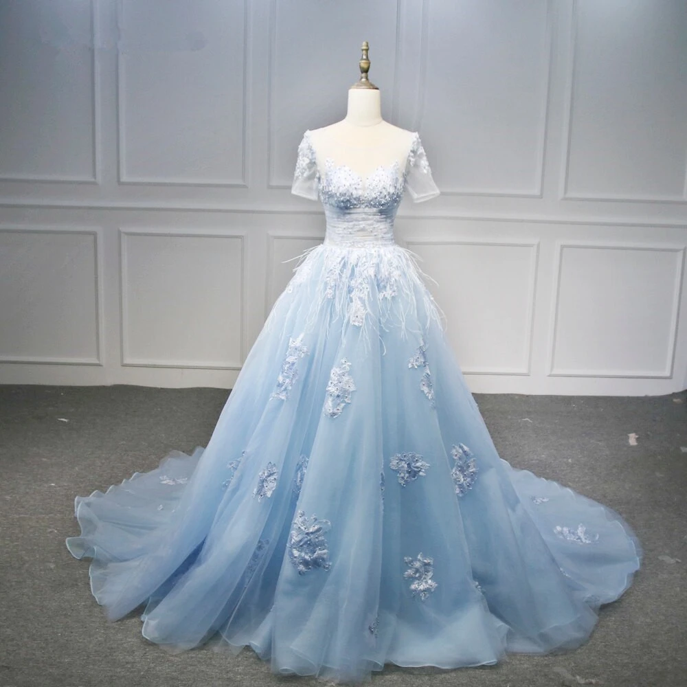 Blue Short Sleeves Lace Applique Organza Tulle Party Dress Prom Dress   cg21266