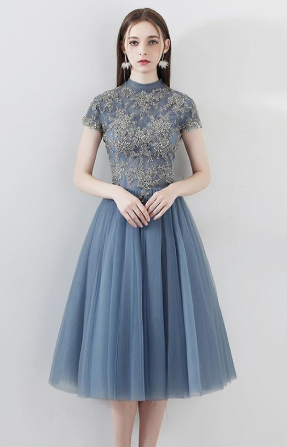 Blue A Line Tulle Short Sleeves High Neck Appliques Homecoming Dresses cg810